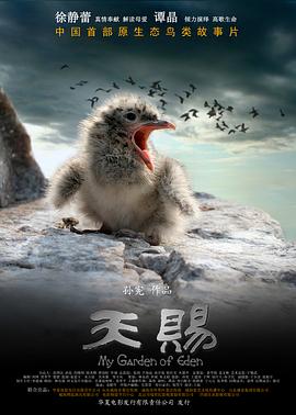 天赐封面图
