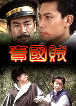 卖国贼封面图