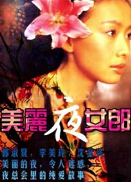 美丽夜女郎封面图
