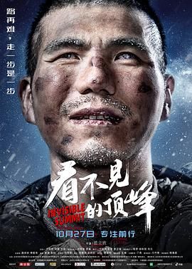 看不见的顶峰封面图