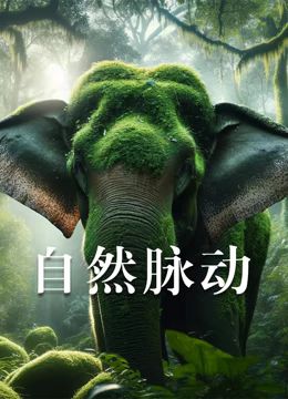 自然脉动封面图