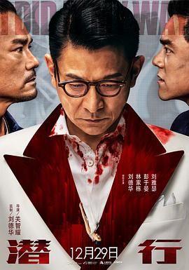潜行 普通话版封面图