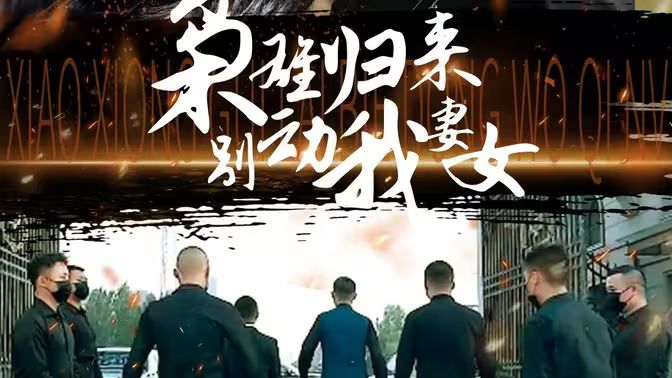 枭雄归来别动我妻女封面图