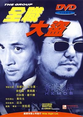 全职大盗封面图