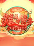 2024湖北春晚封面图