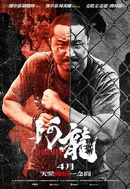 阿龙封面图