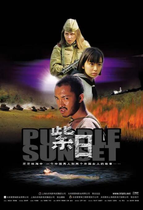 紫日封面图