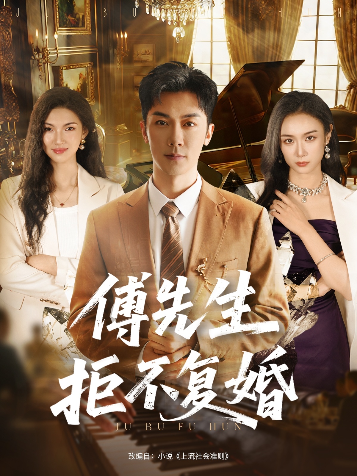 傅先生拒不复婚封面图