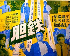 铁胆封面图