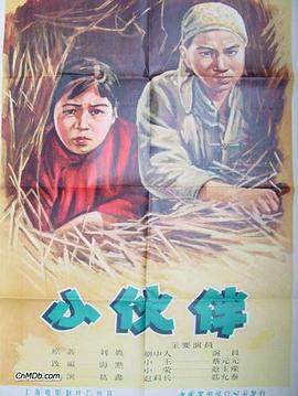小伙伴封面图