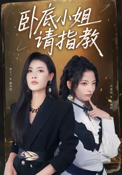 卧底小姐请指教封面图