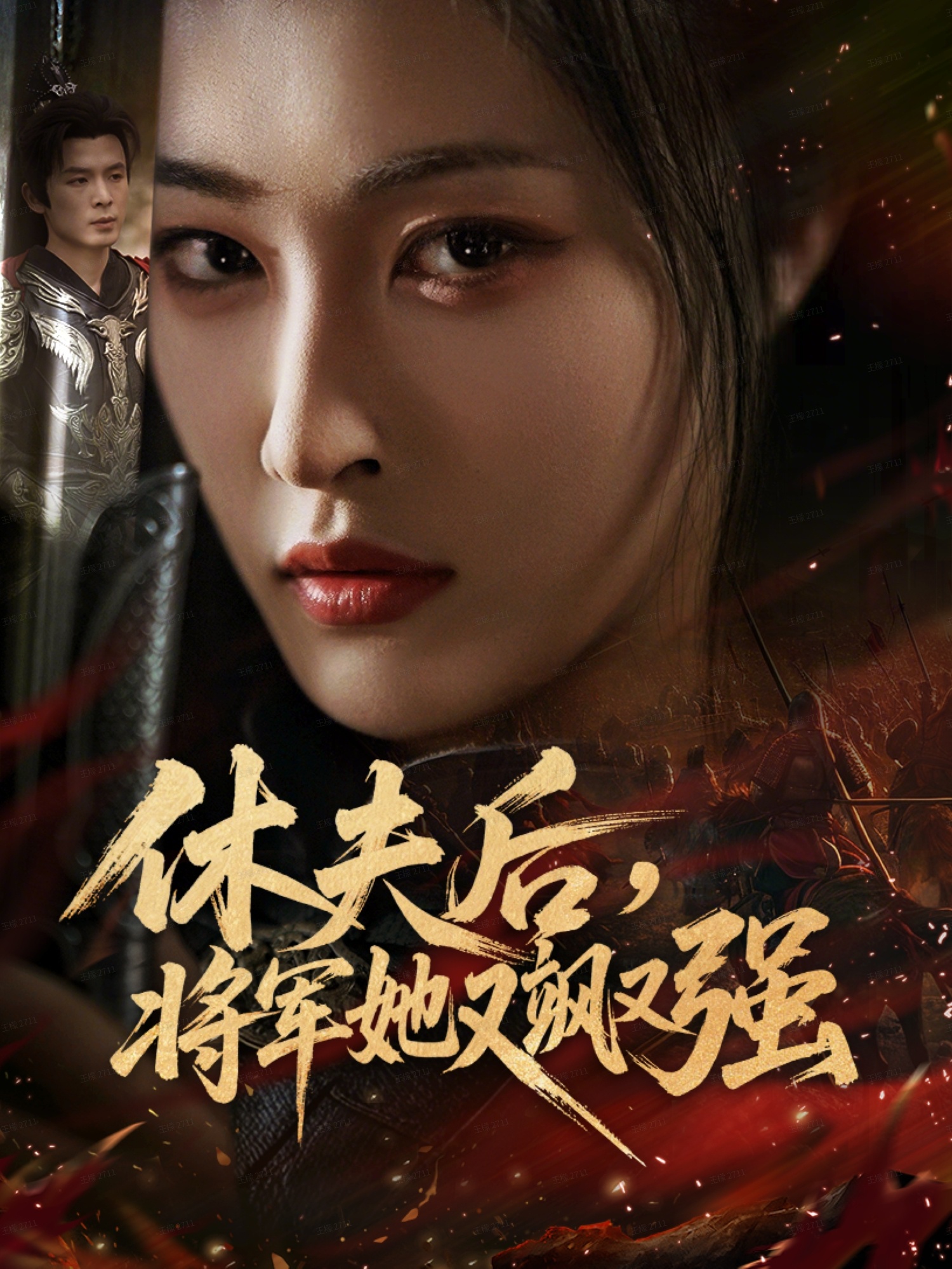 休夫后，将军她又飒又强封面图