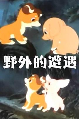 野外的遭遇封面图