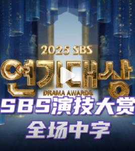 2025年SBS演技大赏封面图