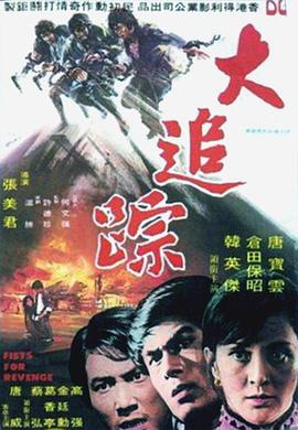 大追踪封面图