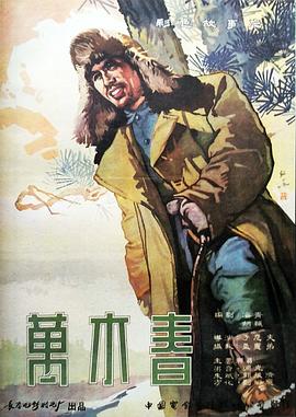 万木春封面图