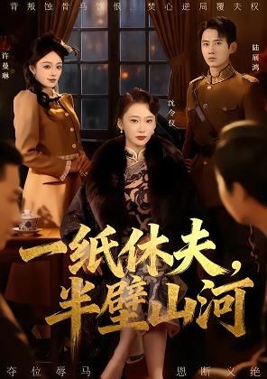一纸休夫，半壁山河封面图