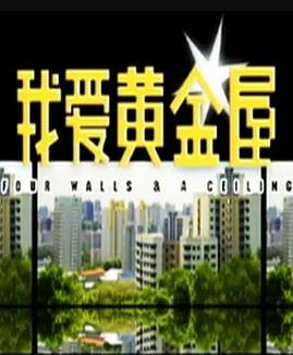 我爱黄金屋封面图