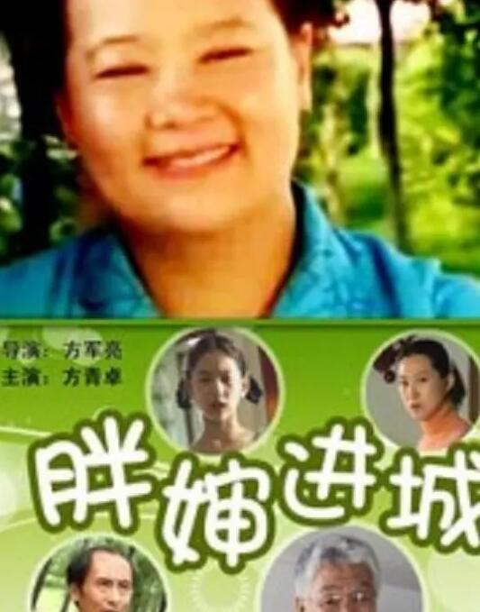 胖婶进城封面图
