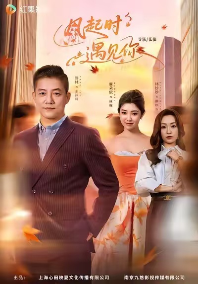 风起时遇见你封面图