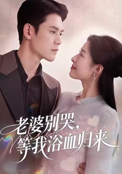 老婆别哭，等我浴血归来封面图
