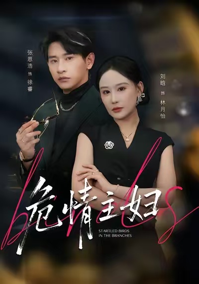 危情主妇封面图