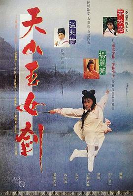 天山玉女剑封面图