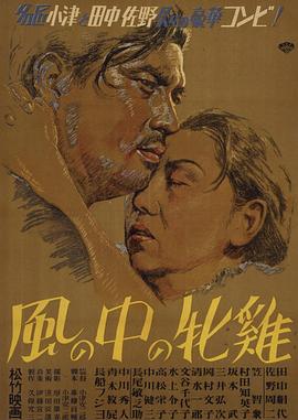 风中的母鸡封面图