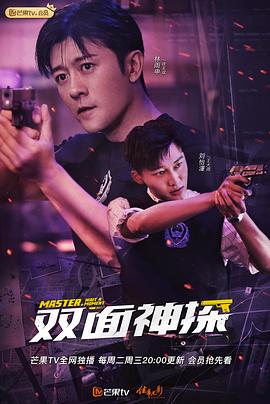 双面神探（速看版）封面图