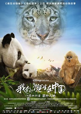 我们诞生在中国封面图