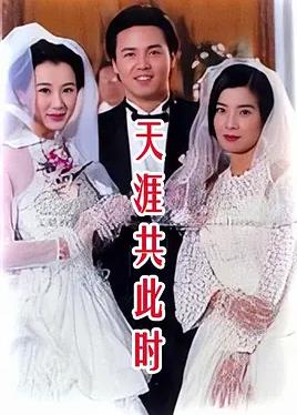 天涯共此时封面图