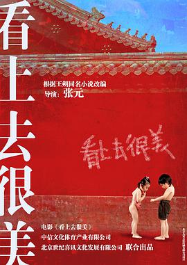 看上去很美封面图