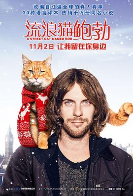 流浪猫鲍勃（国语版）封面图