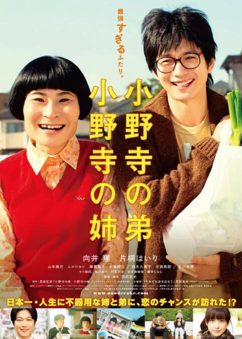 小野寺姐弟封面图