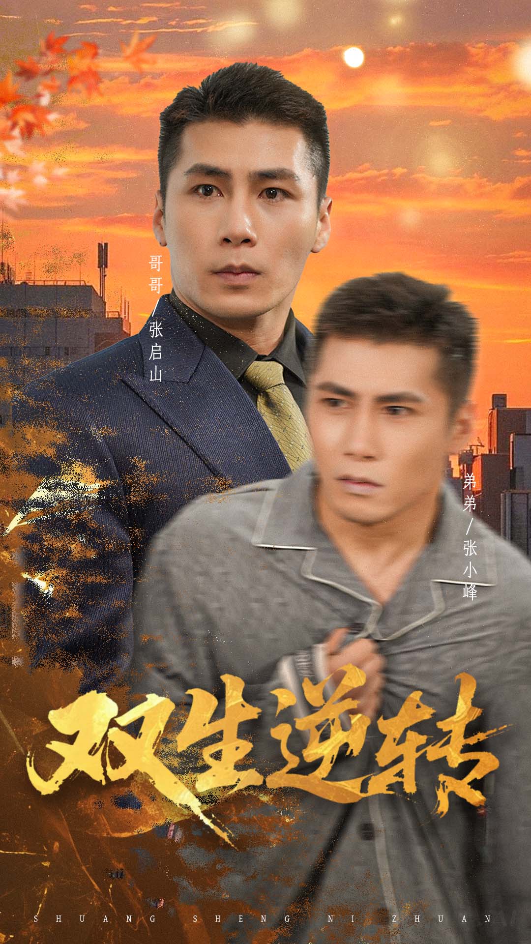 双生逆转封面图