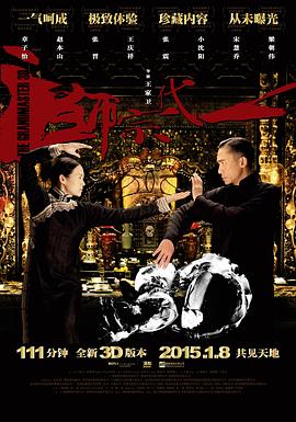 一代宗师（国语版）封面图