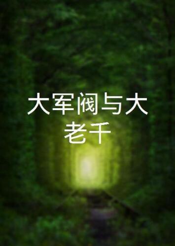 大军阀与大老千封面图