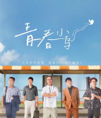 青春小鸟封面图