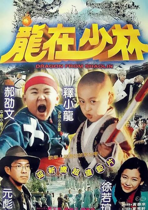 龙在少林封面图