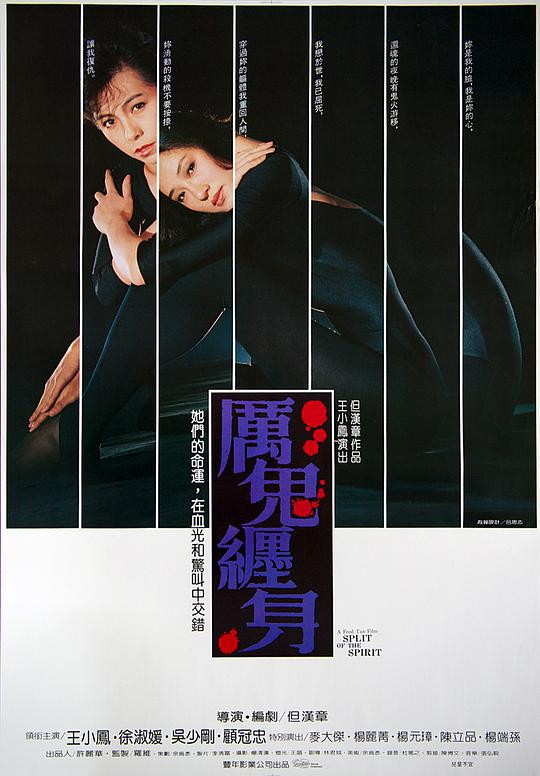 厉鬼缠身封面图
