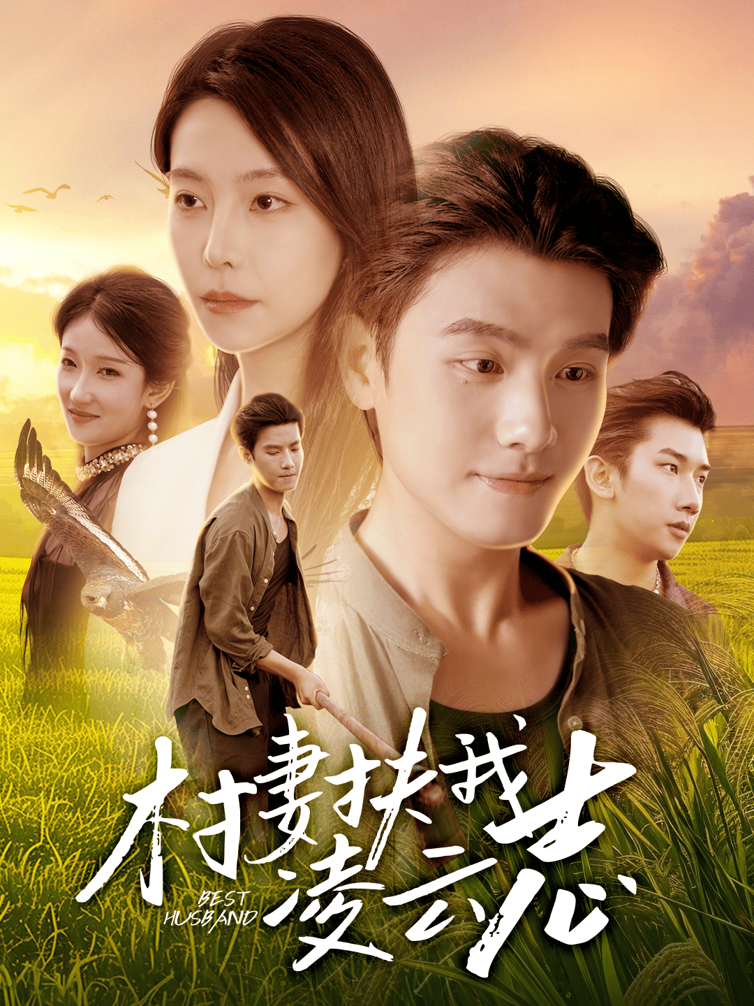 村妻扶我凌云志封面图