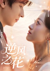 逆风之花封面图