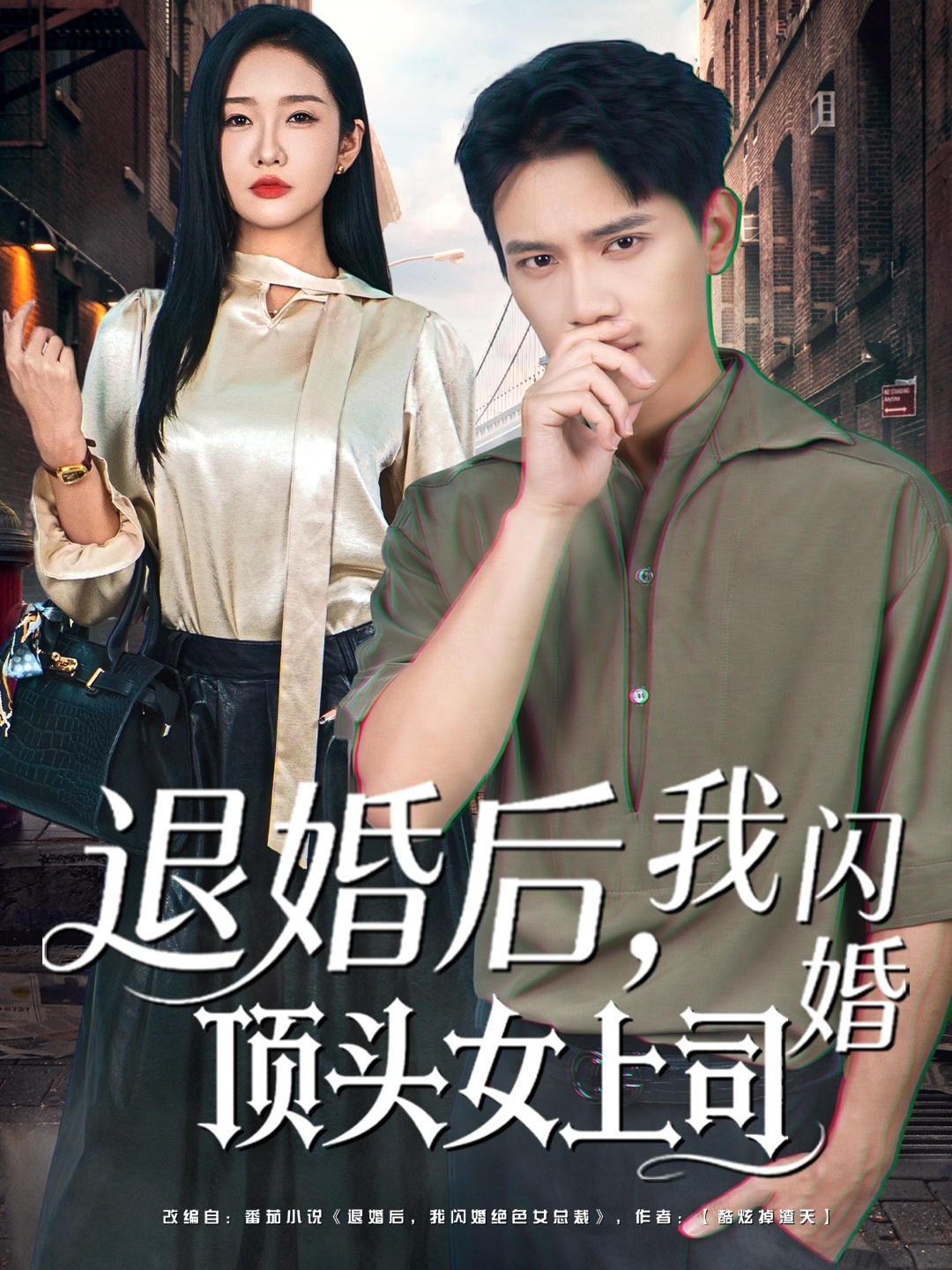 退婚后，我闪婚顶头女上司封面图