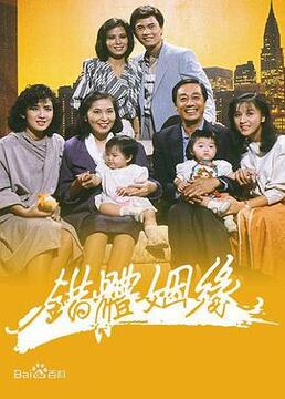 错体姻缘封面图
