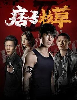 痞子校草2封面图