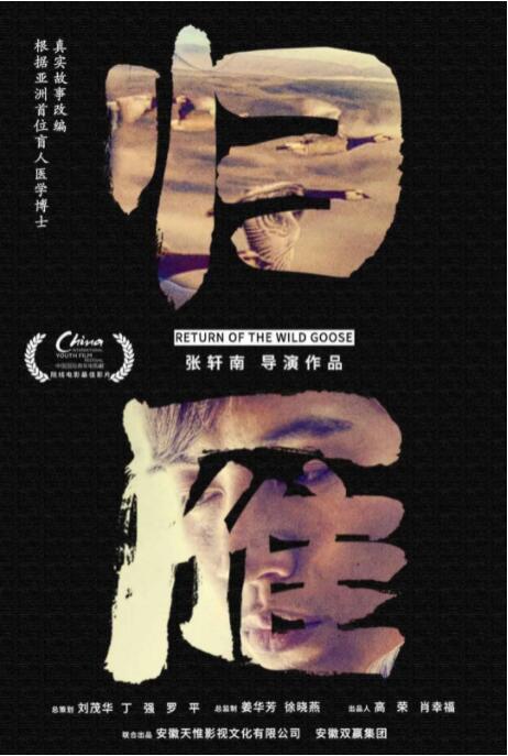 归雁封面图