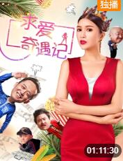 求爱奇遇记封面图